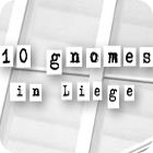 10 Gnomes in Liege ゲーム
