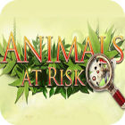 Animals At Risk ゲーム