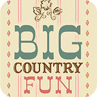 Big Country Fun ゲーム