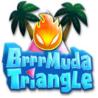 Brrrmuda Triangle ゲーム