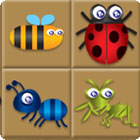 Bug Box ゲーム
