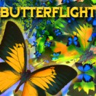 Butterflight ゲーム