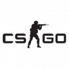 Counter-Strike: Global Offensive ゲーム