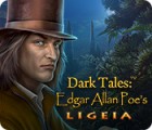 Dark Tales: Edgar Allan Poe's Ligeia ゲーム