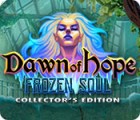 Dawn of Hope: The Frozen Soul Collector's Edition ゲーム