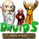 Druid's Battle of Magic ゲーム
