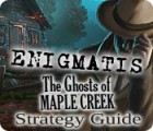 Enigmatis: The Ghosts of Maple Creek Strategy Guide ゲーム