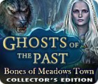 ゴースト・オブ・ザ・パスト：メドウズタウンの亡霊 コレクターズ・エディション ゲーム