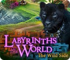 Labyrinths of the World: The Wild Side ゲーム