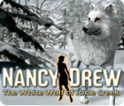 Nancy Drew: The White Wolf of Icicle Creek ゲーム