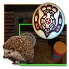 Native Americans Chronicles ゲーム