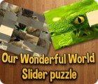 Our Wonderful World ゲーム Our Wonderful World ゲーム
