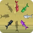 Shark Hunter ゲーム Shark Hunter ゲーム