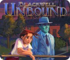 The Blackwell Unbound ゲーム