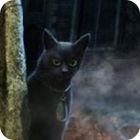 The Curse of the Werewolves Collector's Edition ゲーム