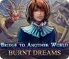 別世界への橋：燃え尽きた夢 game