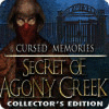 呪われた記憶：アゴニー・クリーク金鉱の謎 コレクターズ・エディション ゲーム