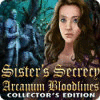 双子姉妹の秘密：アルカナム・ブラッドライン コレクターズ・エディション game