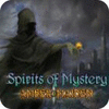スピリット オブ ミステリー：琥珀の呪い コレクターズ・エディション game