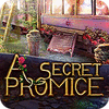 A Secret Promise ゲーム
