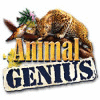 Animal Genius ゲーム