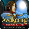 Awakening：天空のスカイウォード城 コレクターズ・エディション ゲーム