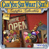 Can You See What I See ゲーム