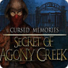 呪われた記憶：アゴニー・クリーク金鉱の謎 ゲーム