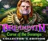 Dreampath: Curse of the Swamps Collector's Edition ゲーム