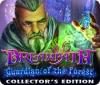 Dreampath: Guardian of the Forest Collector's Edition ゲーム