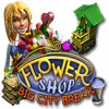 Flower Shop: Big City Break ゲーム