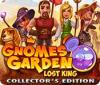 Gnomes Garden: Lost King Collector's Edition ゲーム