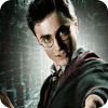 Harry Potter: Fight the Death Eaters ゲーム