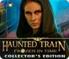 Haunted Train: Frozen in Time Collector's Edition ゲーム