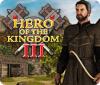 Hero of the Kingdom III ゲーム