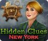 Hidden Clues: New York ゲーム