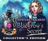 Mystery Trackers: Blackrow's Secret Collector's Edition ゲーム