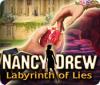 Nancy Drew: Labyrinth of Lies ゲーム