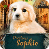 Precious Sophie ゲーム