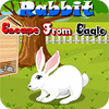 Rabbit Escape From Eagle ゲーム