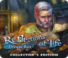 Reflections of Life: Dream Box Collector's Edition ゲーム