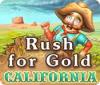 Rush for Gold: California ゲーム
