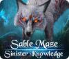Sable Maze: Sinister Knowledge Collector's Edition ゲーム