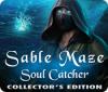 Sable Maze: Soul Catcher Collector's Edition ゲーム