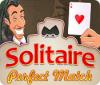 Solitaire Perfect Match ゲーム