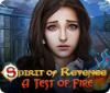 Spirit of Revenge: A Test of Fire ゲーム