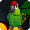 Thirsty Parrot ゲーム