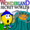 Wonderland Secret Worlds ゲーム
