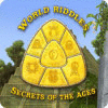 ワールド・リドル：文明の秘密 game